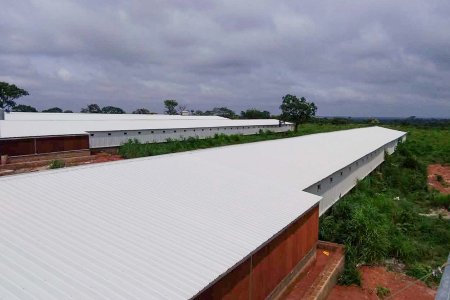 Chicken farm house and equpment(5 houses / 100*12*2.5 meter 2.0kg -- 25,000pcs)